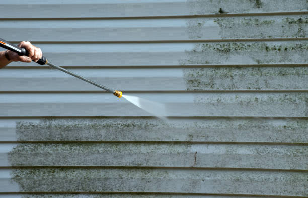 Best Solar Panel Cleaning  in Hughes Springs, TX